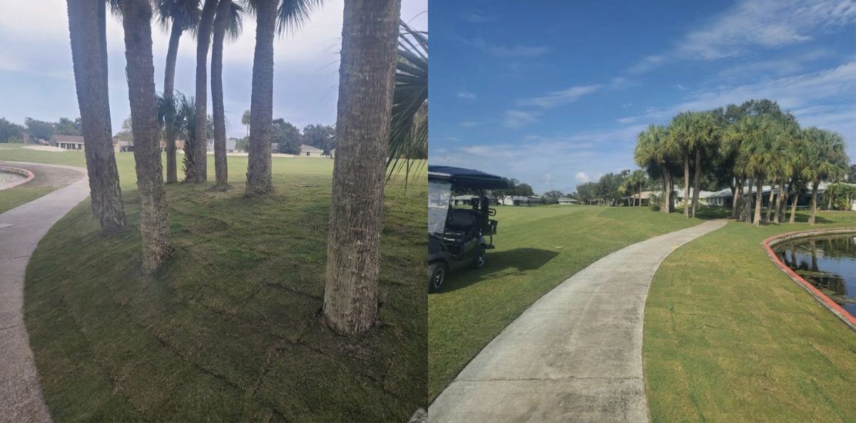 Recent turf, drainage, and playability improvements completed across the golf course.